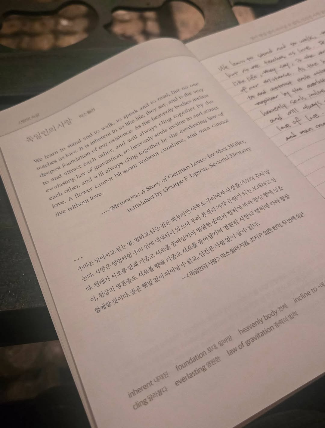 인생책의 한 문장을 다시 만난 날 독서 장면